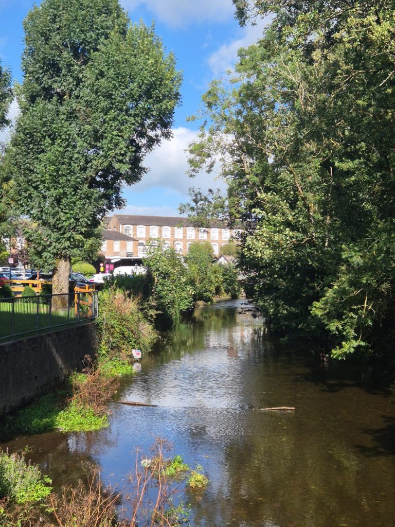 A First-Timer’s Guide to County Cork: What to See, Where to Go and How to Plan Your Days